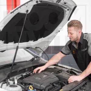 expert in mechanic services